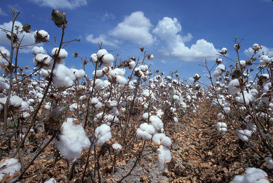 Nachhaltigkeit